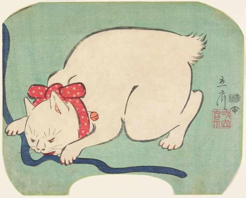 نقاشی گربه سفید ژاپنی