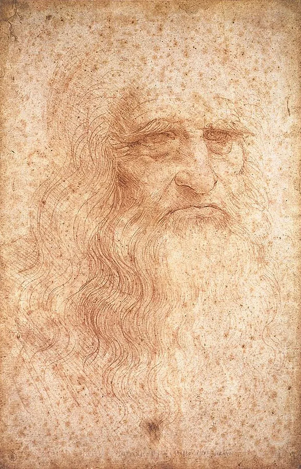 Self-Portrait of Leonardo da Vinci، طراحی با گچ قرمز، مرد سالخورده با ریش بلند