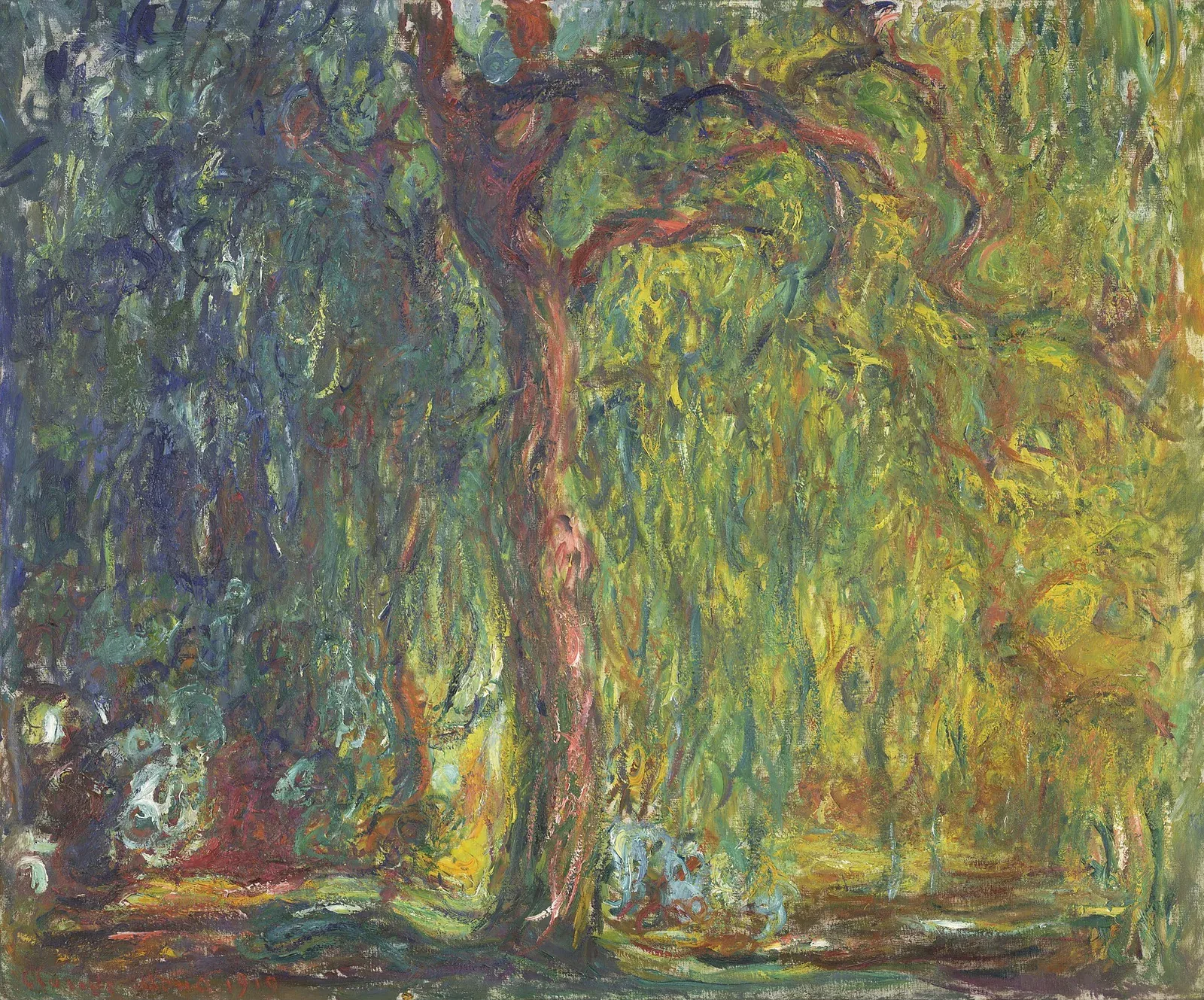بید گریان