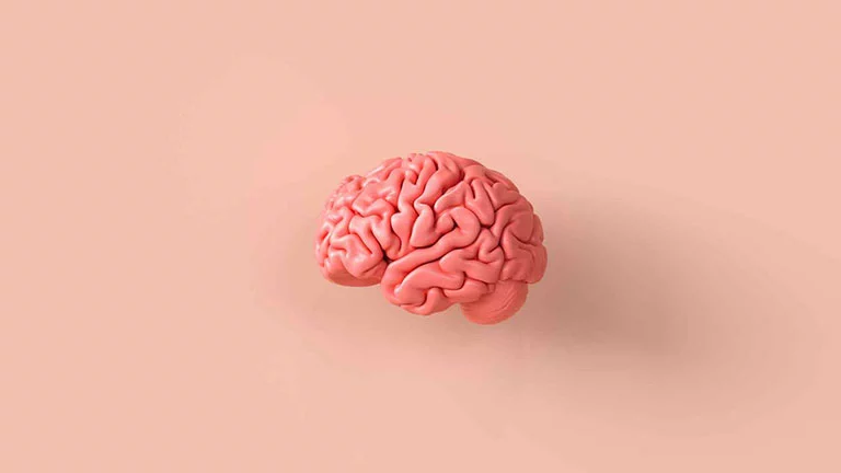 مغز انسان چند گیگابایت حافظه دارد