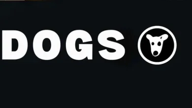 داگز کوین لیست شد!