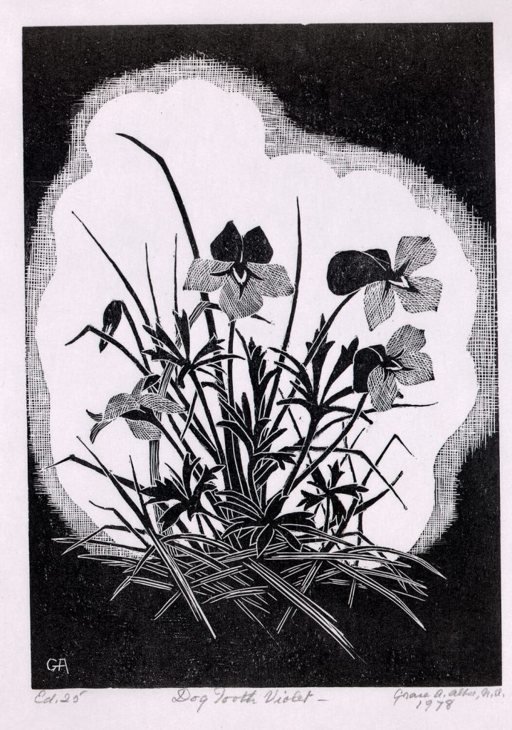 American female artists: Grace Arnold Albee, Dog Tooth Violet, 1978, National Museum of Women in the Arts, Washington, DC, USA