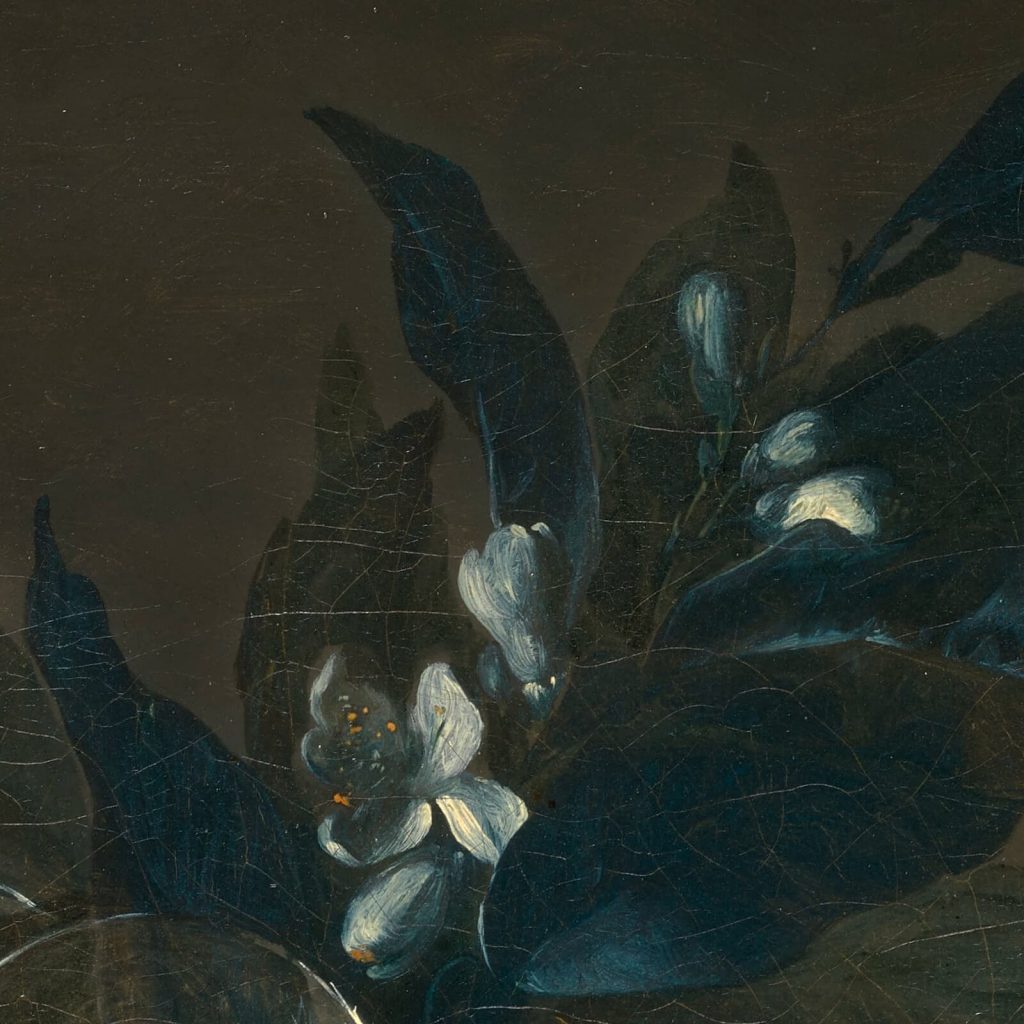 Anne Vallayer-Coster, Still Life with Mackerel, 1787, Kimbell Art Museum, Fort Worth, TX, USA. Detail